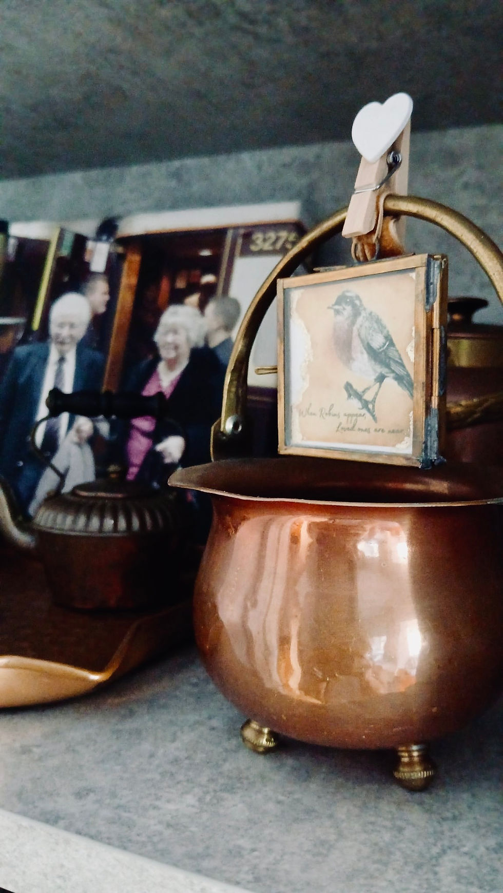 The Flock: Where Small Wings Carry Big Stories