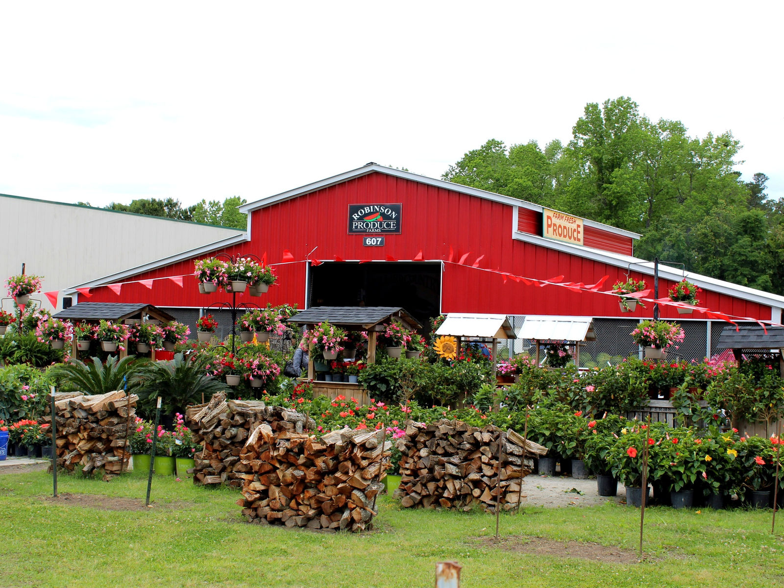 Robinson Produce Farms photo 2