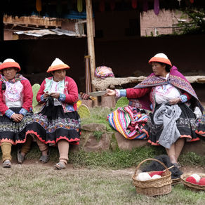 秘鲁卡卡科优群体 ｜ Ccaccaccollo Community 