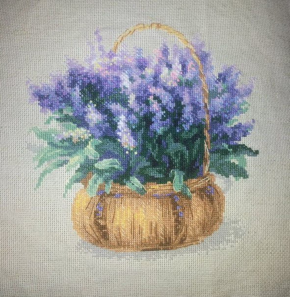 French Lavander – Riolis