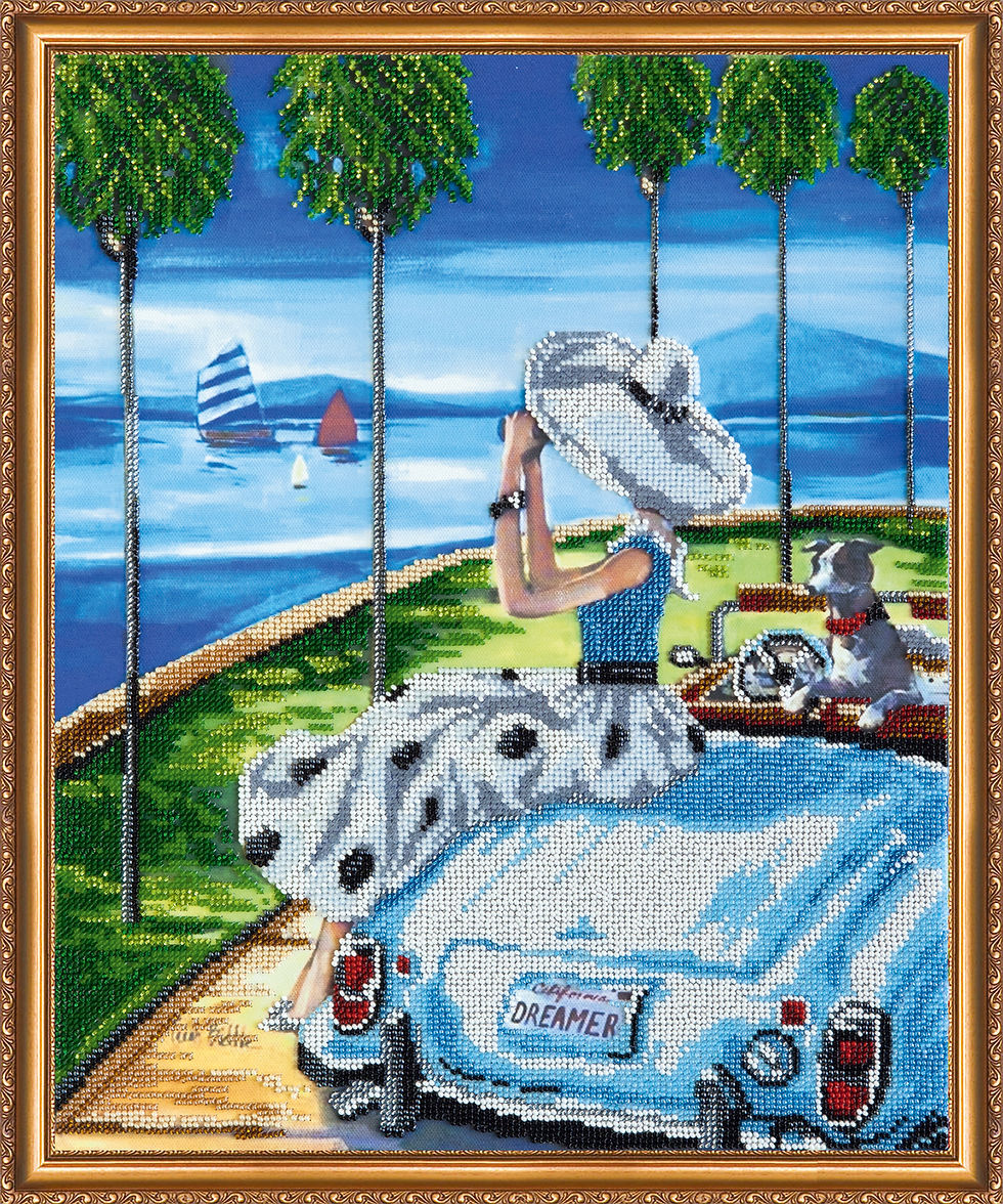 Cruise Embroidery Kit