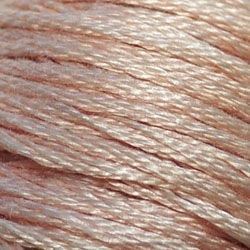 DMC Embroidery Thread/ 950 LT Desert Sand