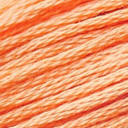 DMC Embroidery Thread/ 3825 Pale Pumpkin