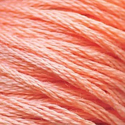 DMC Embroidery Thread/ 3824 LT Apricot