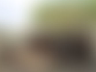 inschrijvingen kamp!!!