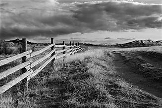 Black and White Landscape
