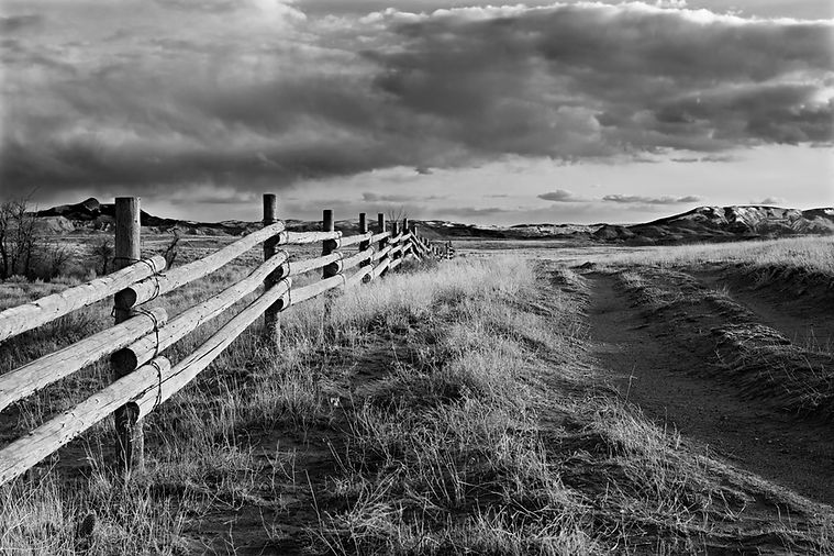Black and White Landscape