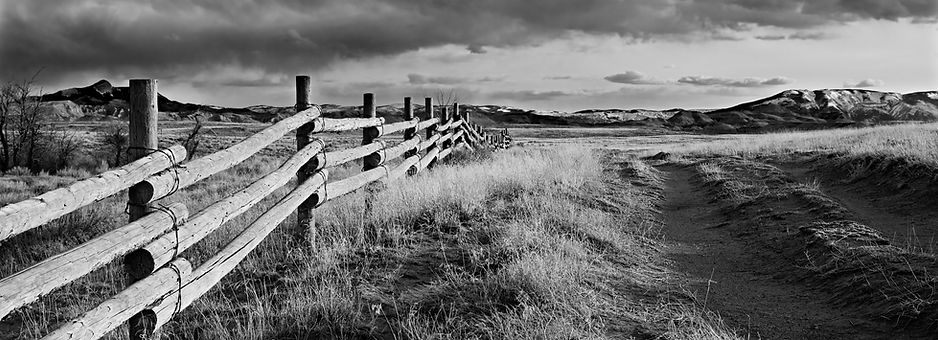 Black and White Landscape