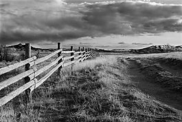 Black and White Rural Fencing