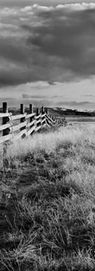 Black and White Landscape