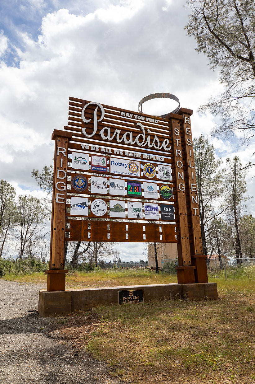 Paradise Sign-1.jpg