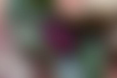 ข้าวหมาก (Kaomak Or Sweetened Rice)