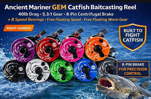 5000 series fishing reels Amazon.com: HNGM High Speed Fishing Reel 5.2:1 Yellow Fishing Reel for  Metal Fishing Fishing Max Power (Spool Capacity: 5000 Series) : Sports &  Outdoors