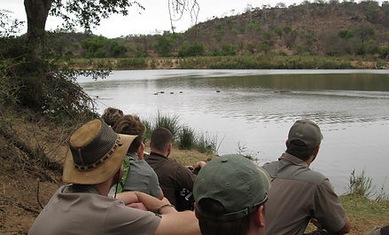 wildlife volunteer in africa or gap year travel