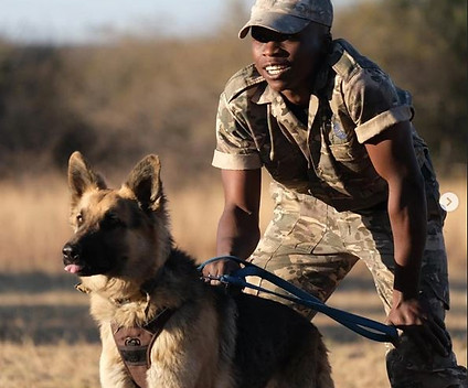 Dog anti poaching.JPG