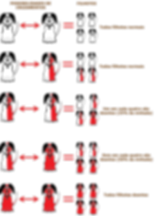 DOENCAS RECESSIVAS.png