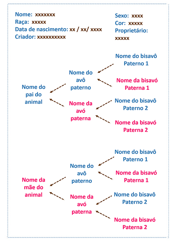 Cruzamento entre parentes próximos | geneticacanina