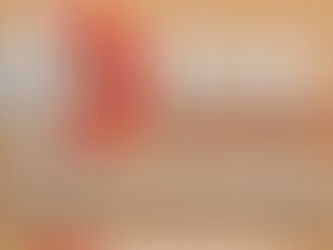 Todo lo que necesitas saber sobre panelado para furgonetas - blog panelado furgonetas