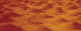 descarga%2520(3)_edited_edited