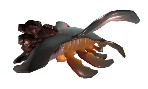 Baleine entiere.png