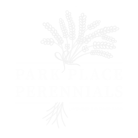 Lavender_Logo_Final_white_edited_edited_edited.png