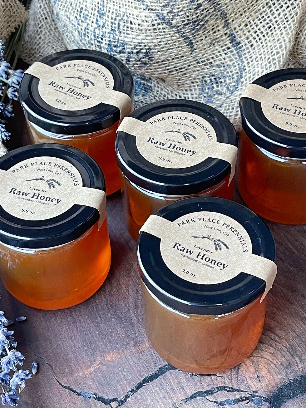 Thumbnail: Oregon Lavender Raw Honey 9oz