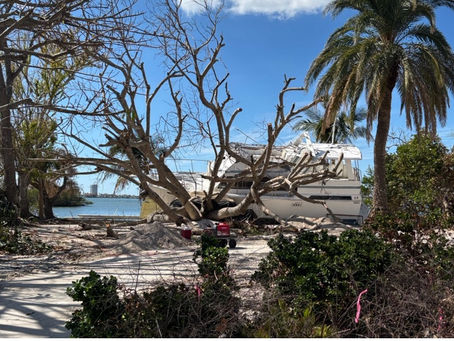 "Death is Good for the Garden"