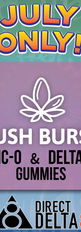 Media Flyer - DirectDelta8_JulyONLY!30%KushBurst_600x600px_B2v.jpg