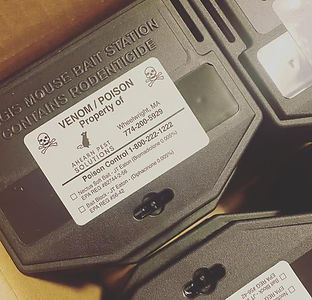 bait station_edited.jpg