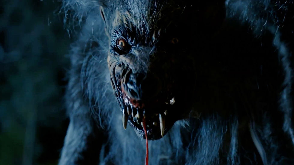A Werewolf from Models vs Werewolves (2026)