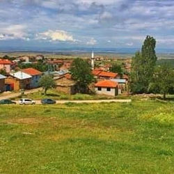 66687294_135159284361254_288007708812822