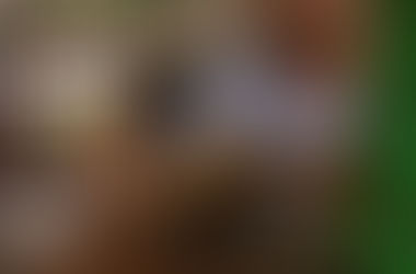 Impacto del laboratorio: El lenguaje de la arcilla.