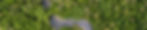 Eco-Fazenda-aerea.jpeg