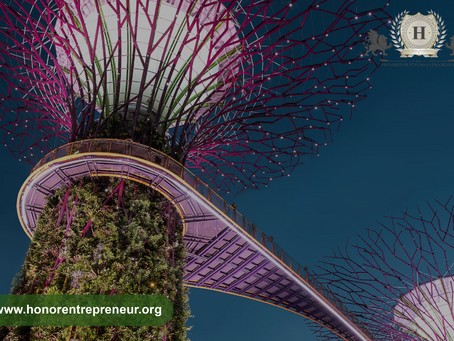 La Economía Circular: Descubre lo que Significa, Cómo te Beneficia, al Medio Ambiente y a Nuestra Economía