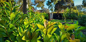 Garden_2.jpg