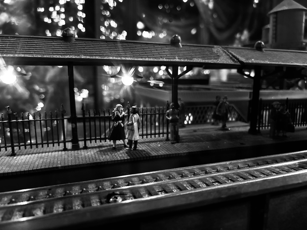 IMG_3701