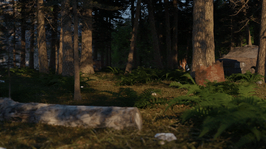 forest gif c.gif