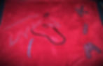Thumbnail: Memory Applique Throws -Examples