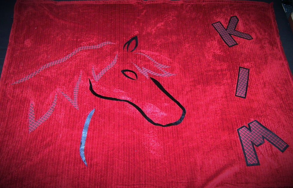 Thumbnail: Memory Applique Throws -Examples