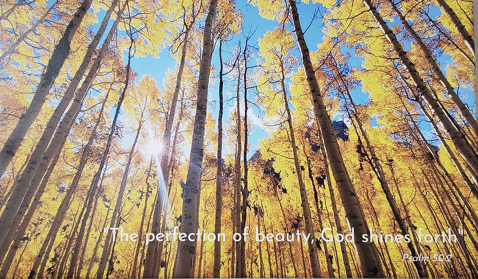 Thumbnail: Gods Beauty