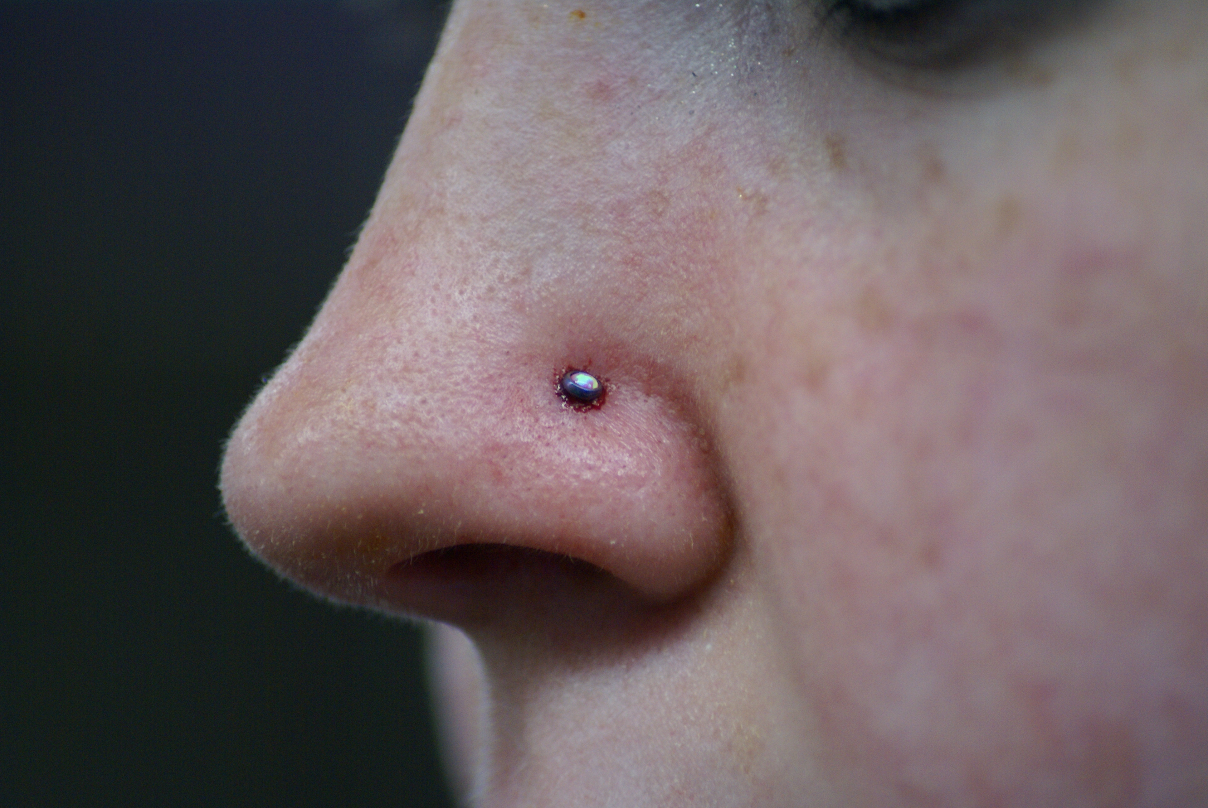DSC09550