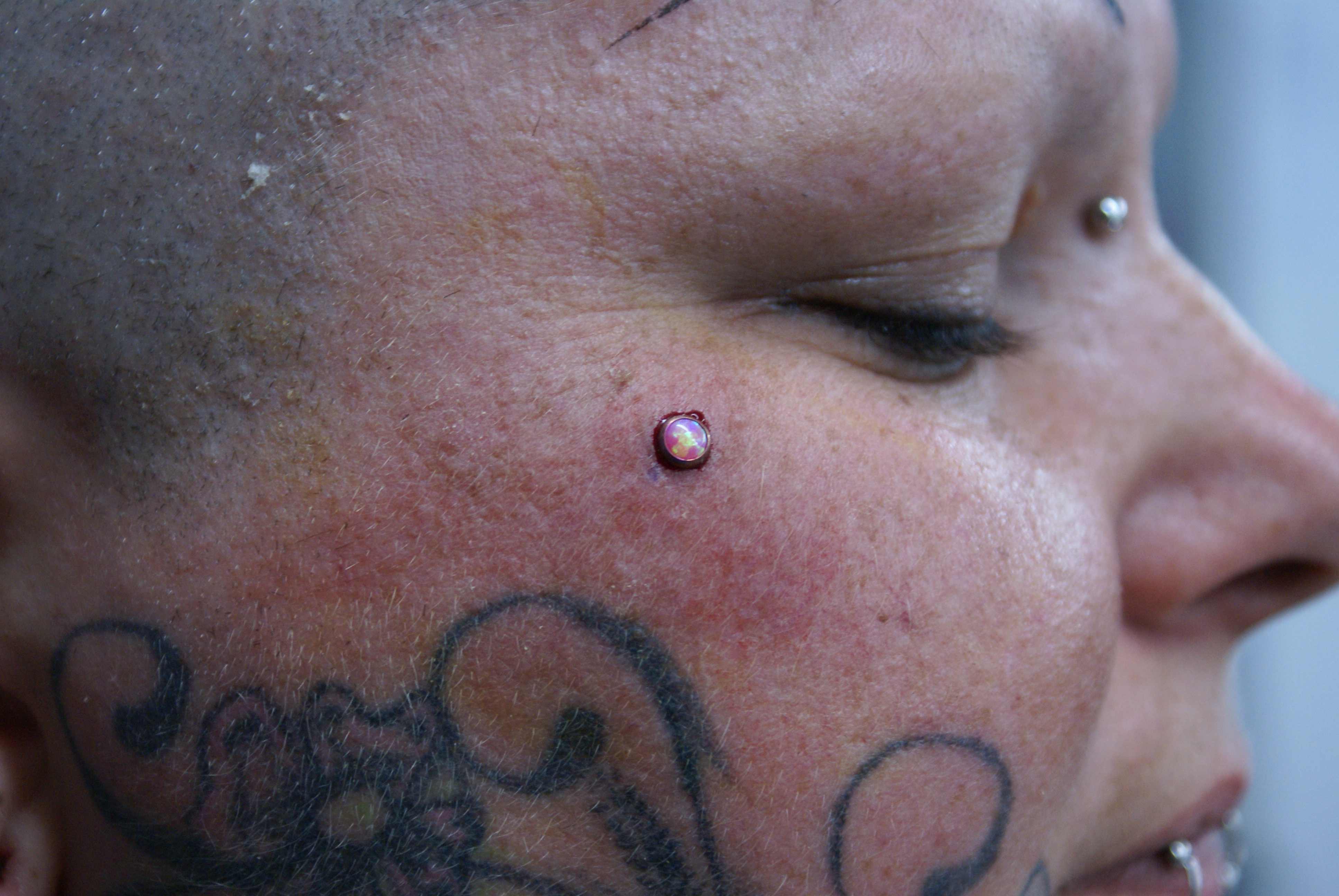 DSC08071