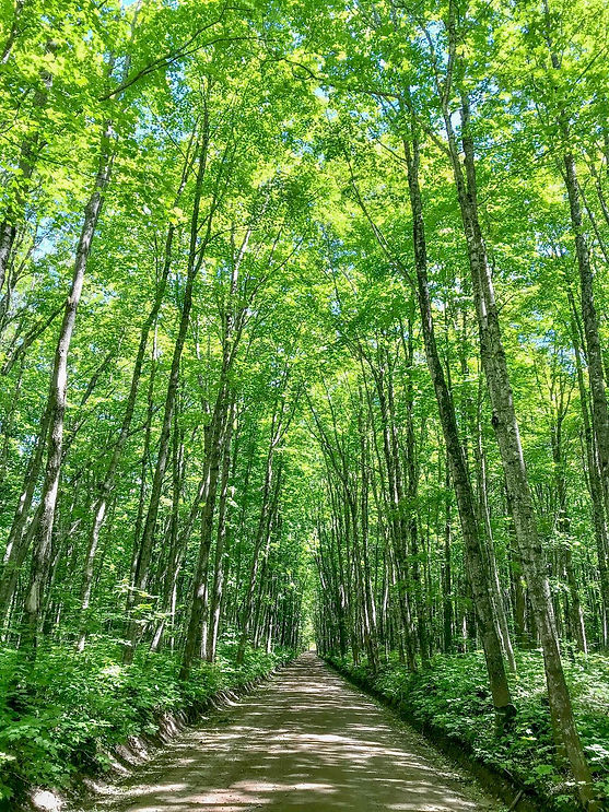 HoughtonCoverRoad3.jpg