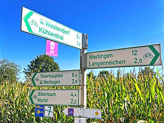 Our European family enjoys using electric motor scooters, bikes, and gas-powered mopeds for fun. Today, we rode through charming villages and farmland with rolling hills of sugar beets, potatoes, corn, and grass. Occasionally, a road wound through a woodlot.