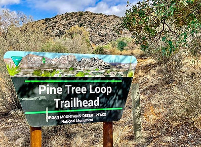 Organ Mountains surprise: ended up on a tougher 5-mile loop. Amazing views, though! New Mexico observations: people mask up, friendly folks, roadrunners (so cool!), and maybe even lion-roaring mice?! Next stop: City of Rocks and Gila National Forest!