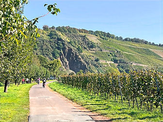 Trier, Germany's oldest city, was established by the Romans in 16 BC. The city has a well-marked bike path network along the Moselle River, which leads to several historical treasures, including the 2000-year-old Porta Nigra, St. Peter's Cathedral, and Karl Marx's birthplace-turned-museum.