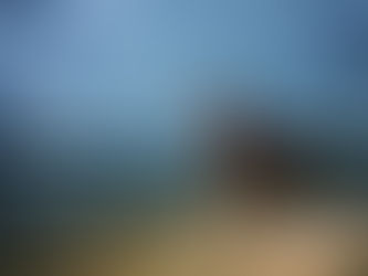 National Animal Disaster Preparedness Day | Helpful Hints for Dogs in Dallas and Beyond