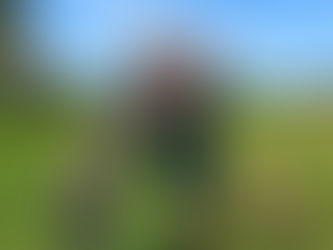 Fletcher Turns ONE! A Year in the Life of Our Gentle Giant