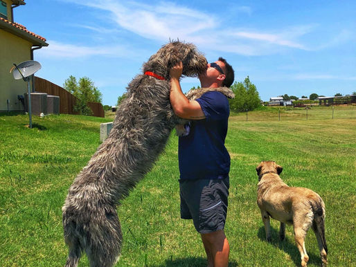 Fletcher Turns ONE! A Year in the Life of Our Gentle Giant