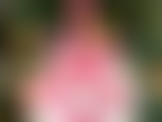 Top 10 Greatest Gifts for the Dog Lover In Your Life | 2018